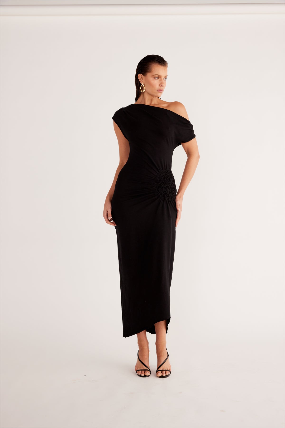 OLIVIDAE MAXI