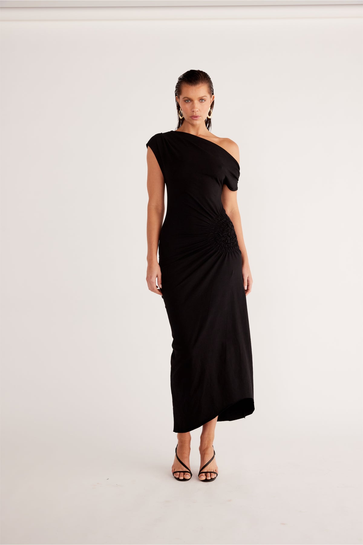 OLIVIDAE MAXI